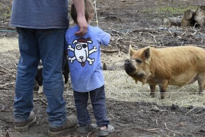 1.5 Hour Immersive Farm Experience in Adirondacks - Harvesting your own veggies: the market garden stop you’ll actually remember