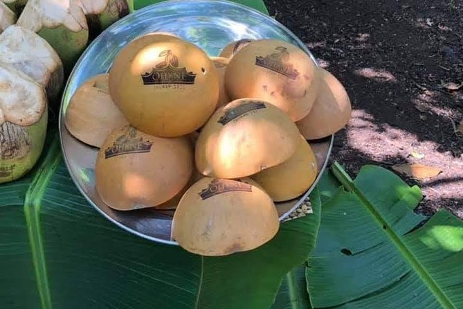 1 Day cocoa farm tour - Cocoa farm reality: what you’ll actually see in Asamankese