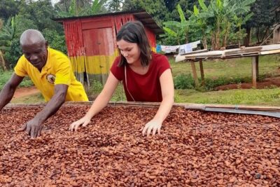 1 Day cocoa farm tour - Price and private-guide value for a 1-day cocoa outing