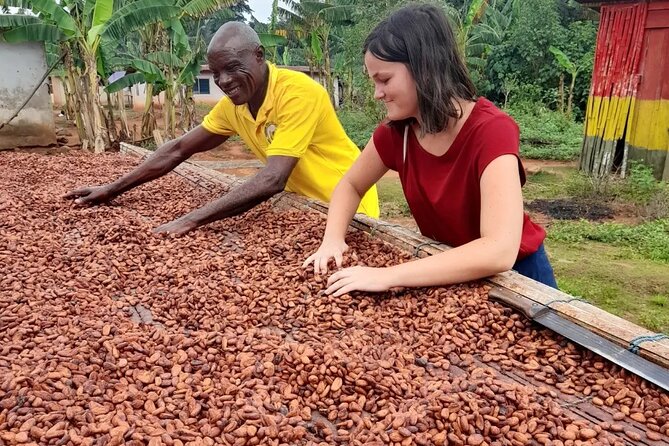 1 Day cocoa farm tour - Rural way of living in Ghana: the cash crop beyond the farm gate