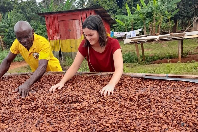 1 Day cocoa farm tour - Price and private-guide value for a 1-day cocoa outing