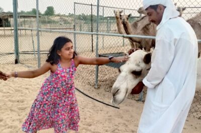 1 Hour Private Quad Biking with 30 minutes Camel Farm Visit - The Quad Bike Part: What That 1-Hour Deep-Desert Ride Feels Like