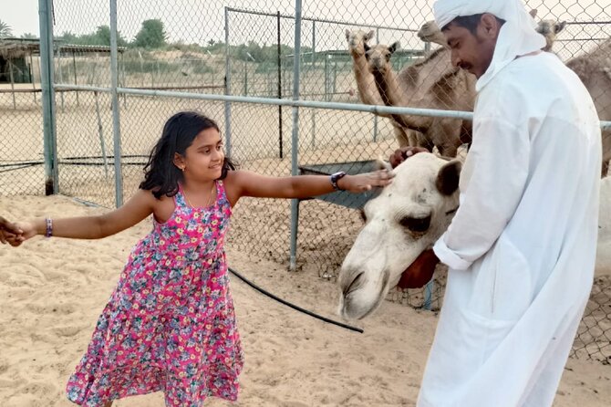 1 Hour Private Quad Biking with 30 minutes Camel Farm Visit - The Quad Bike Part: What That 1-Hour Deep-Desert Ride Feels Like