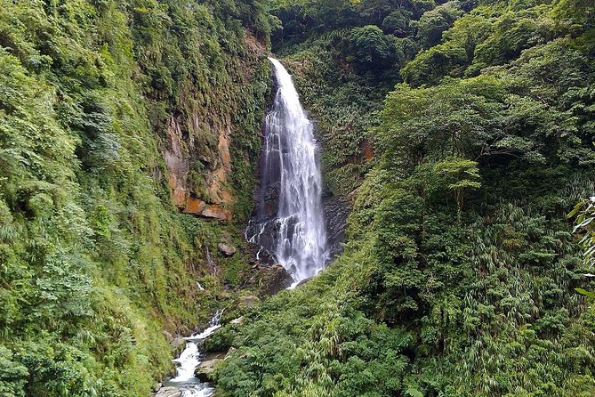 1D Tour to Cingjing Farm from Taichung - Key things to know before you go