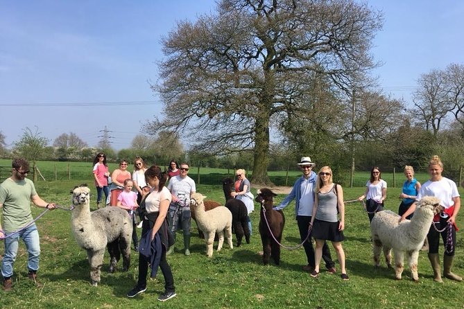 2-Hour Alpaca Farm Experience in Kenilworth - Price and Value: What $35.78 Covers (and What It Doesn’t)