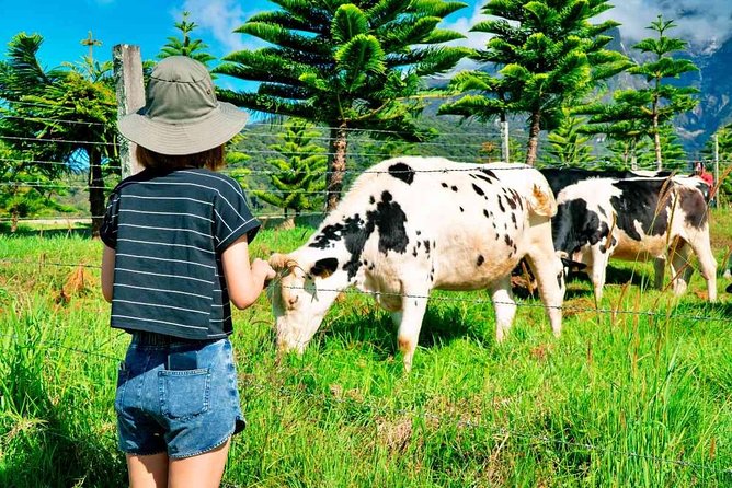 2d1n Kinabalu Park & Poring Canopy Walk & Desa Cow Farm Tour - Key highlights that make this tour worth your time