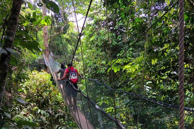 2d1n Kinabalu Park & Poring Canopy Walk & Desa Cow Farm Tour - The overall rhythm: how the 2 days are meant to feel