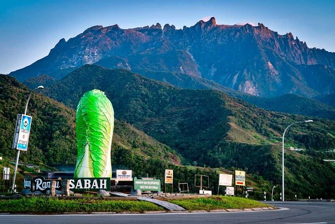 2d1n Kinabalu Park & Poring Canopy Walk & Desa Cow Farm Tour - Guides, pacing, and comfort: what tends to make or break it