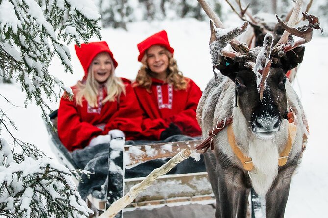 2km Sleigh Ride & Feeding Experience at Traditional Reindeer Farm - Key Highlights You’ll Care About