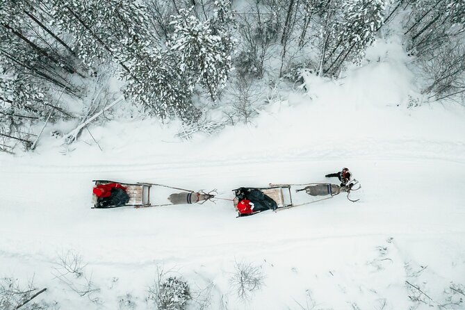 2km Sleigh Ride & Feeding Experience at Traditional Reindeer Farm - Why This 10-Person Reindeer Farm Ride Feels Different