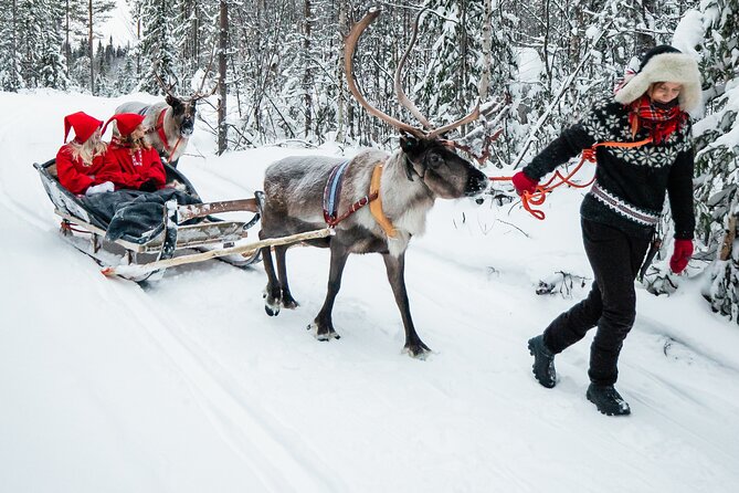 2km Sleigh Ride & Feeding Experience at Traditional Reindeer Farm - Meeting the Herd: Feeding Time and Sami Culture Context