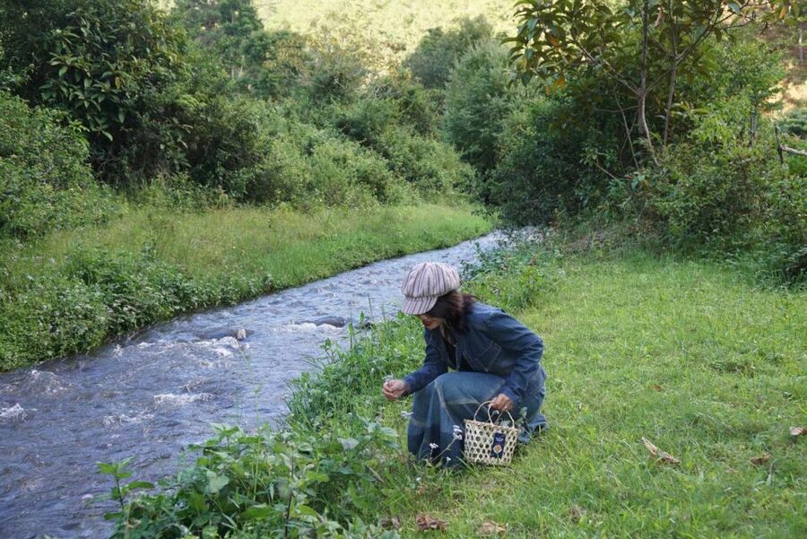 3-Hours Trekking Tour to Hidden Waterfall and Sturgeon Farm - Twin Beans Farm: your trailhead outside Da Lat