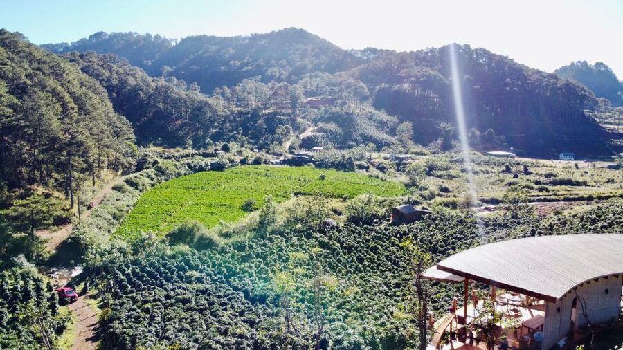 3-Hours Trekking Tour to Hidden Waterfall and Sturgeon Farm - The first stop: touring a sturgeon farm you can’t just stroll into