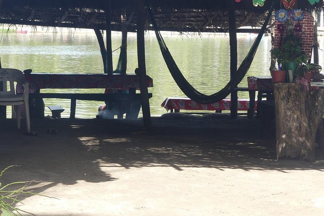 3 Palos Lagoon AfroMex Village Turtle Release & Croc Farm Visit - From Acapulco to Tres Palos: the flow of the day