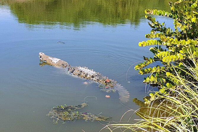 3 Palos Lagoon AfroMex Village Turtle Release & Croc Farm Visit - Playa de Barra Vieja: beach time with a real local feel