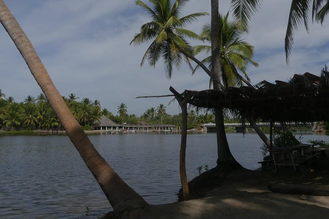 3 Palos Lagoon AfroMex Village Turtle Release & Croc Farm Visit - Lunch at the village: Pescado a la Talla plus real home-cooked details