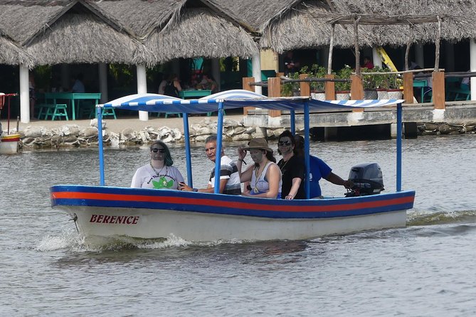 3 Palos Lagoon AfroMex Village Turtle Release & Croc Farm Visit - Price and value: why $115 can make sense for a 6-hour day