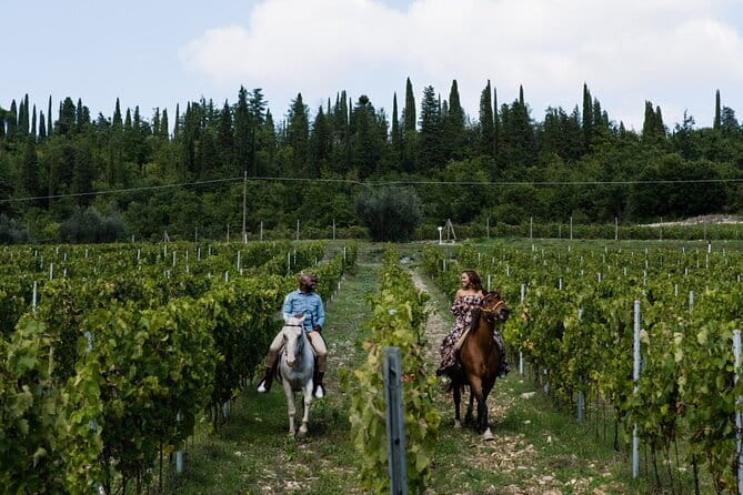 4 WINES TASTING in a Chianti Classico Farm (Visit/tour at the winery included) - Price and Value: What $33.72 Buys You in Real Terms