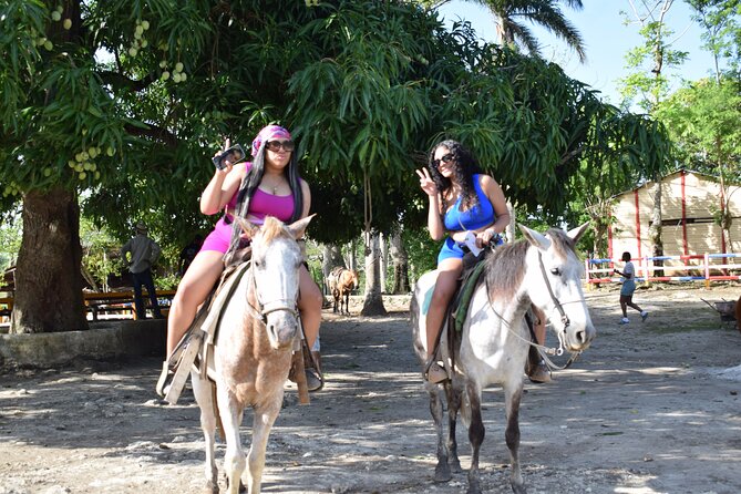 5 tours in 1 (Eco Farm/Horseback/City Tour/Buggy/Zipline) - Cap Cana pickup, then straight into countryside horseback