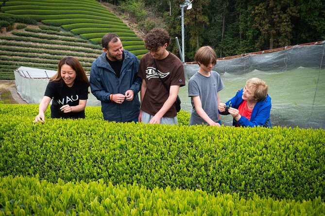 7hr Private Wazuka True Hidden Kyoto Matcha Farm Experience - Wazuka, Kyoto: Why This Place Changes How You Think About Matcha