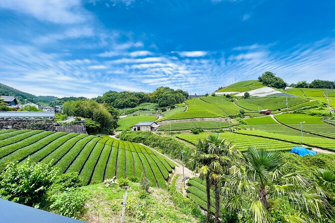 7hr Private Wazuka True Hidden Kyoto Matcha Farm Experience - Wazuka-cha CafeJapan Meeting Point and the Day’s Tempo