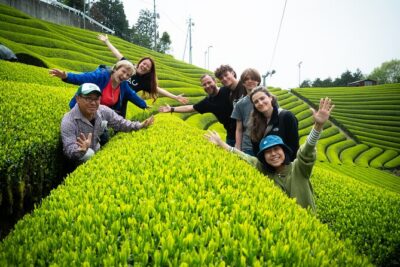7hr Private Wazuka True Hidden Kyoto Matcha Farm Experience - Your Host Matters: A 5th-Generation Matcha Farmer’s Angle