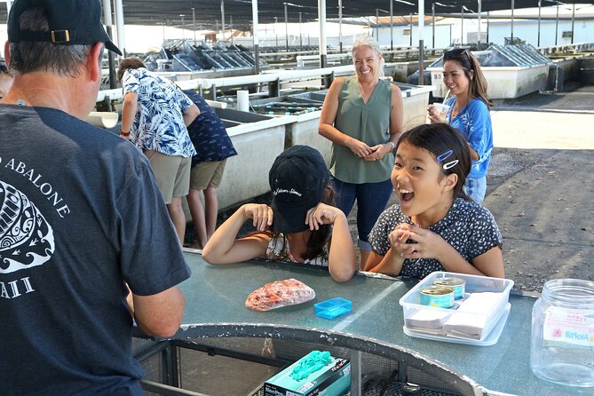 Abalone Farm Tour - How abalone farming fits Hawaii’s tropical reality