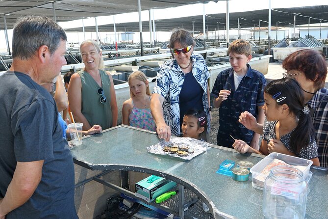Abalone Farm Tour - Price and value: is $35 worth it?