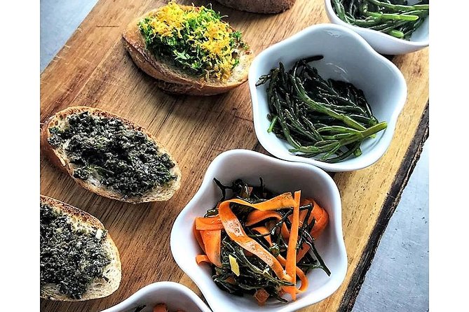 Abalone farm tour and tasting with coastal seaweed walk. Guided. 2 hours - The abalone farm tour: sustainable aquaculture you can see