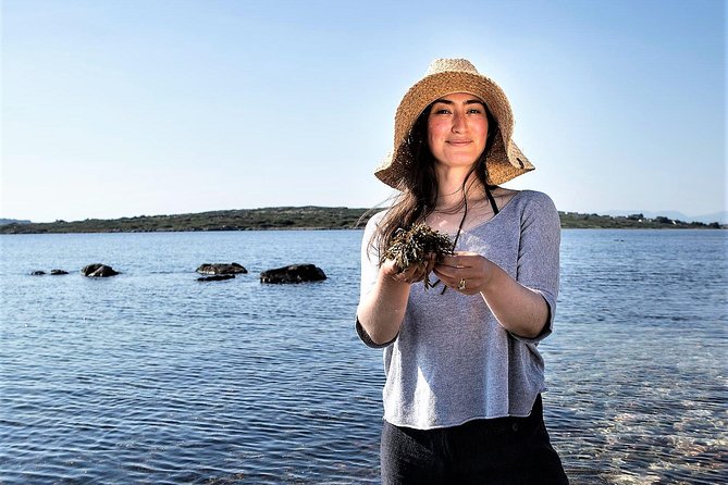 Abalone farm tour and tasting with coastal seaweed walk. Guided. 2 hours - Price and value for $108.79 per person