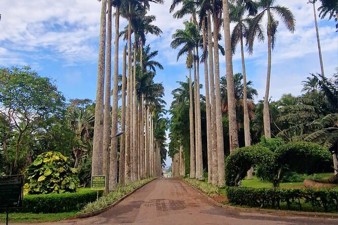 Aburi Botanic Gardens, Boti Falls,Umbrella Rock & Cocoa Farm Tour - Quick Hits Before You Go