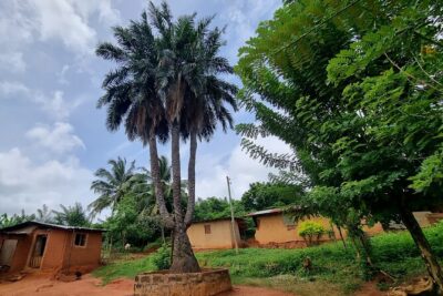 Aburi Botanic Gardens, Boti Falls,Umbrella Rock & Cocoa Farm Tour - Morning Logistics: Meeting at Accra Mall and Staying Comfortable