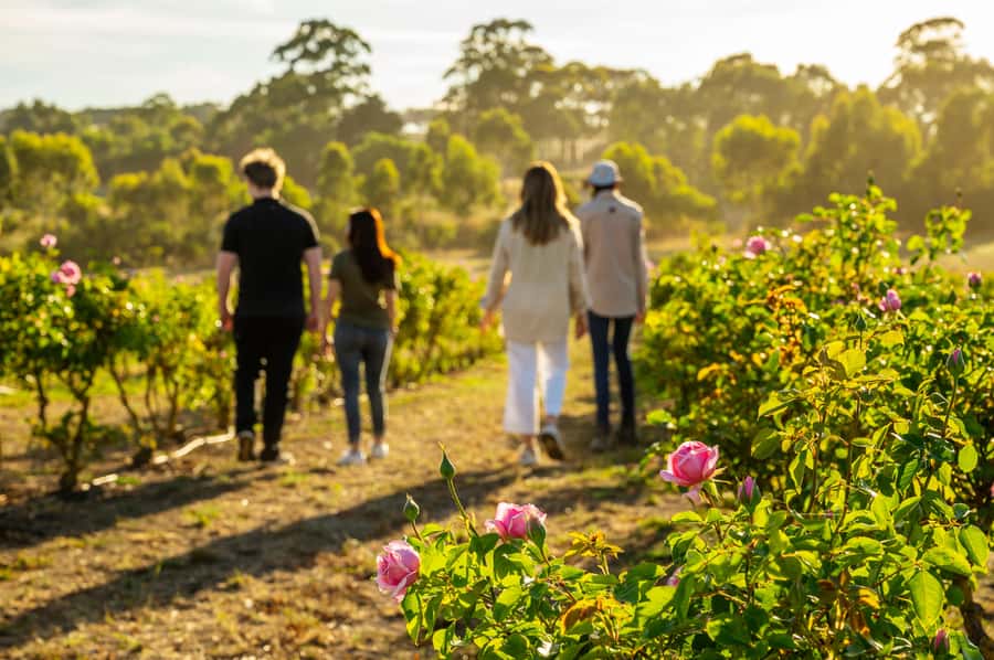 Adelaide Hills: Jurlique Farm Tour - Meeting at the Jurlique Farm Shop and meeting your ambassador