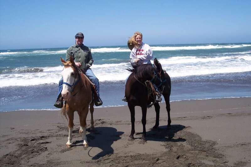 <em>Afro-Mex Village Horse Ride, Turtle Release Crocodile Farm – Key things to know before you go’ /></p>
<ul>
<li><strong>Hands-on baby turtle release</strong> where you help place turtles for their journey into the ocean</li>
<li><strong>Horseback riding for all levels</strong>, with basics taught before you head out</li>
<li><strong>Small group limit of 10</strong>, which makes questions easier and photos less chaotic</li>
<li><strong>Afro-Mexican village and local lifestyle context</strong>, not just a quick drive-by</li>
<li><strong>Crocodile farm visit</strong> as a final stop before your return to your hotel</li>
</ul>
<h2 id="why-this-horse-ride-turtle-release-combo-feels-special">Why this horse ride + turtle release combo feels special</h2>
<p><img width="800" height="408" decoding="async" src=