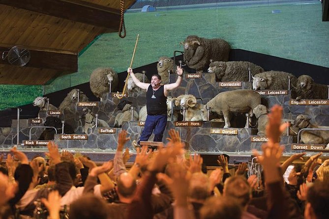 Agrodome Farm Experience including Farm Show and Farm Tour - Rotorua - Key things to know before you go to Agrodome (Rotorua)