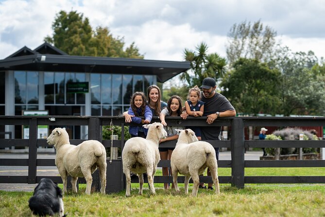Agrodome Farm Experience including Farm Show and Farm Tour - Rotorua - Price and value: is $40.34 worth it?
