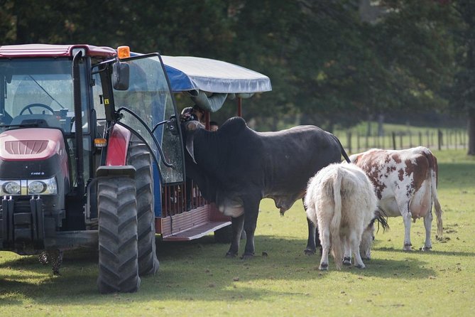 Agrodome Farm Experience including Farm Show and Farm Tour - Rotorua - Small details that make the experience smoother