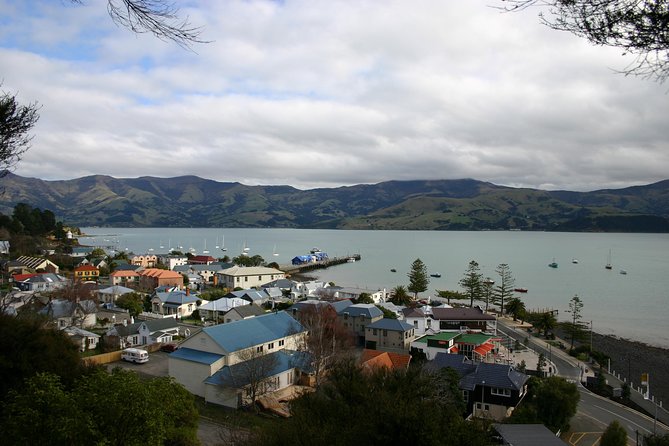 Akaroa Shore Excursion: Akaroa Harbour and Sheep Farm Local Tour - Afternoon tea: scones and clotted cream make the farm feel like home