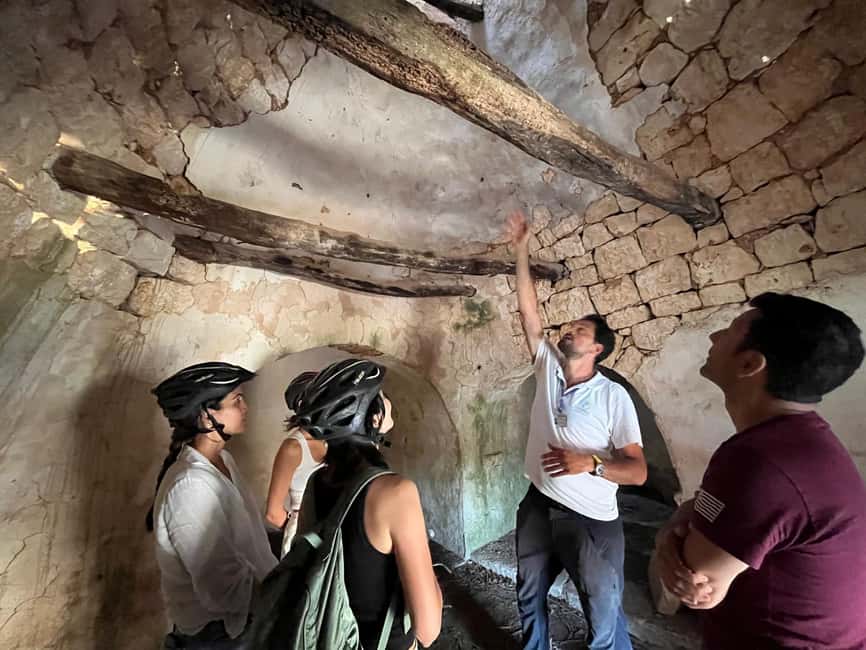 Alberobello: Guided e-bike tour + donkey farm visit - The donkey farm visit: close-up, family-friendly, real