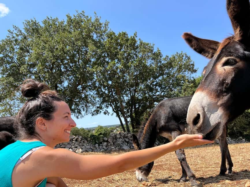 Alberobello: Guided e-bike tour + mill & donkey farm - Donkey farm time: calm animals and close-up encounters