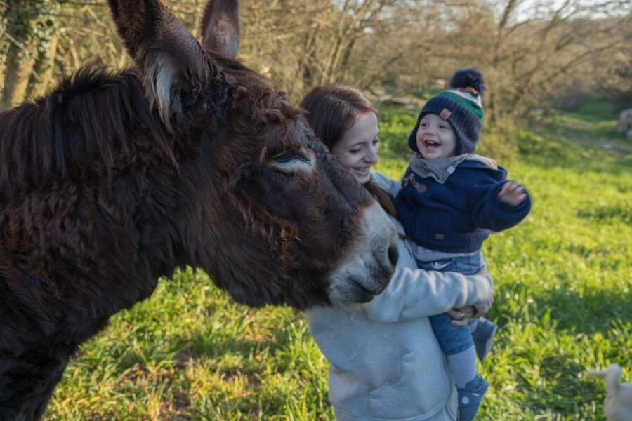 Alberobello: Guided e-bike tour + mill & donkey farm - Own e-bike vs. renting on site: costs and what to check