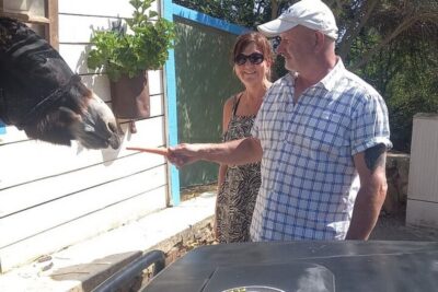 Albufeira Safari exploring villages, churches, castle & farm - Paderne Castle: Quick Stop, Big Atmosphere