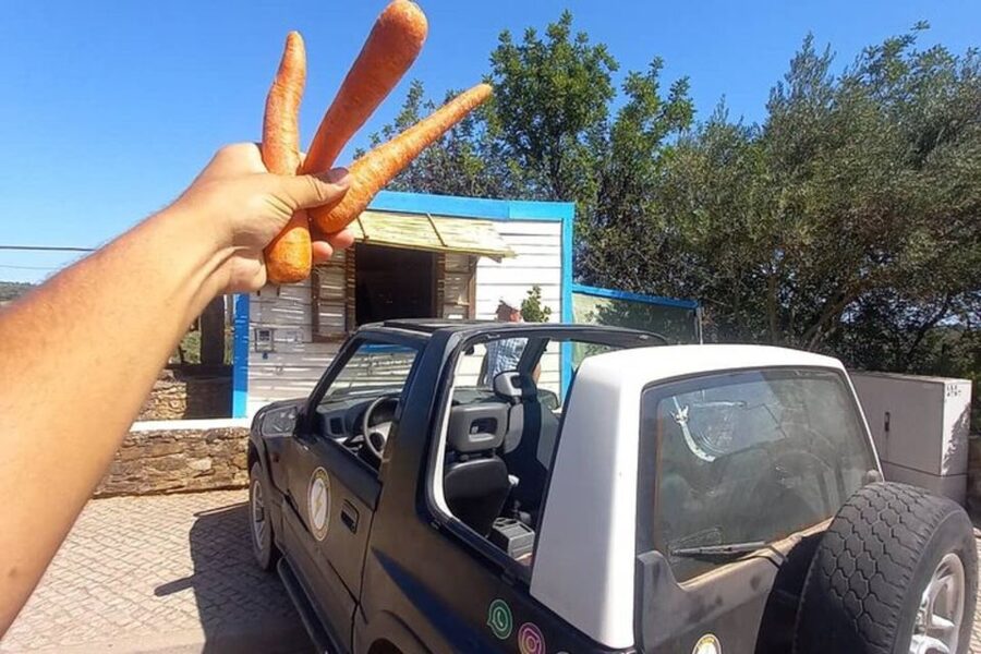 Albufeira Safari exploring villages, churches, castle & farm - Who This Safari Is For (and Who Might Want Something Else)