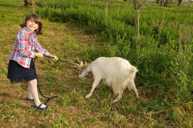 Alcamo Farm Animals and Aromatic Garden - Aromatic garden sensory game (and the bouquet you can keep)
