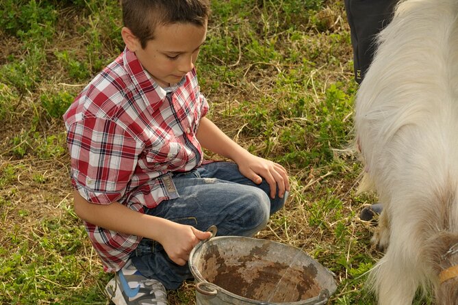 Alcamo Farm Animals and Aromatic Garden - The homemade snack and what’s actually in it
