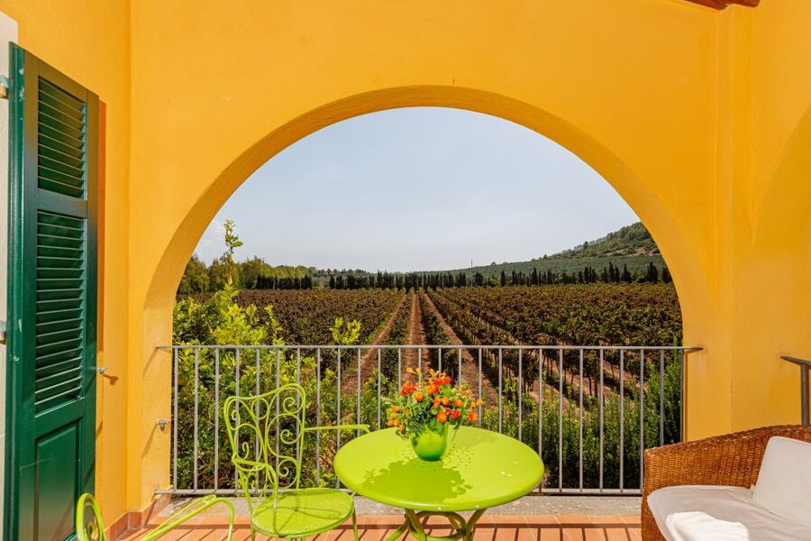 Alghero: Wine and Olive Oil Tasting at a Local Farm - Key Points to Know Before You Go