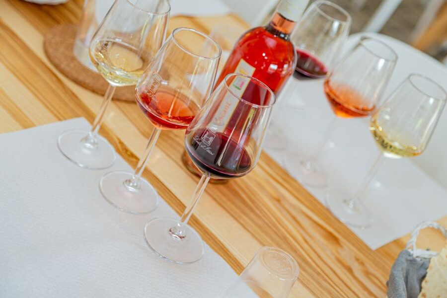 Alghero: Wine and Olive Oil Tasting at a Local Farm - The 5-Wine + Pecorino + Olive Oil Formula (And Why It Works)