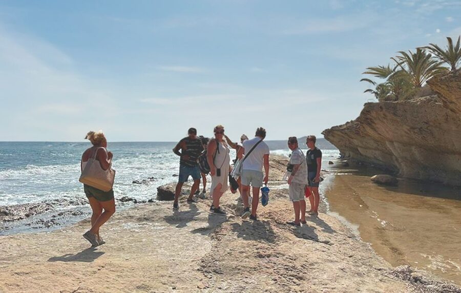 Alicante : E-Bike Coast Tour, Roman Fish Farm and Snorkeling - Snorkeling in Alicante: gear, what you might see, and how to stay comfortable
