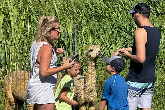 Alpaca Farm Experience on the Road to Hana - The Guide Experience: Friendly Help and Practical Animal Info