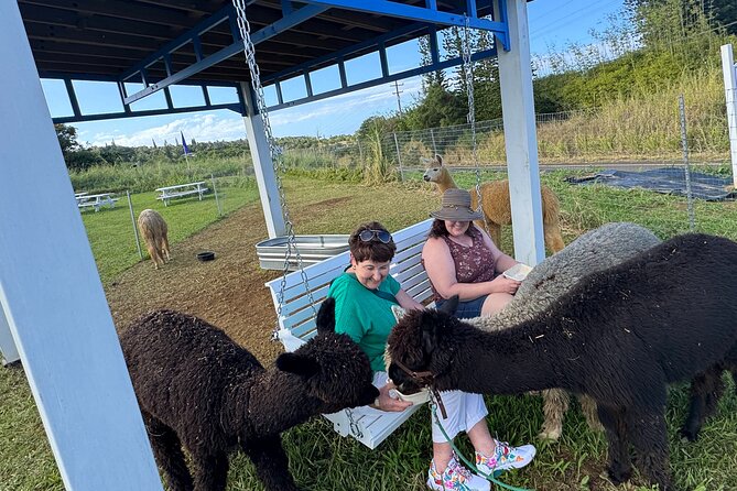 Alpaca Farm Experience on the Road to Hana - Private Tour Feel: Why It’s Better Than a Big Group Stop